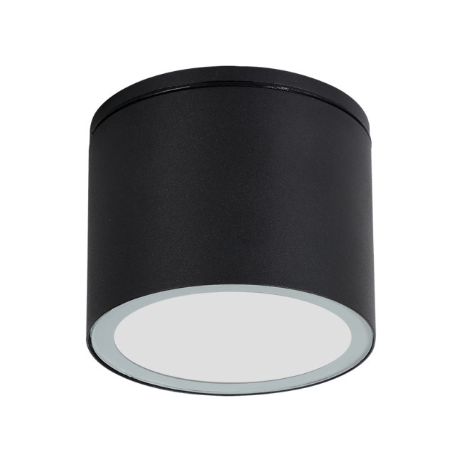 Уличный потолочный светильник Arte Lamp Piautos A1913PF-1BK Уличный потолочный светильник Arte Lamp Piautos A1913PF-1BK