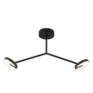 Потолочный светильник Favourite Paritet 4401-2C