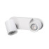 Cпот Kanlux Laurin EL-2I W 29122 Cпот Kanlux Laurin EL-2I W 29122
