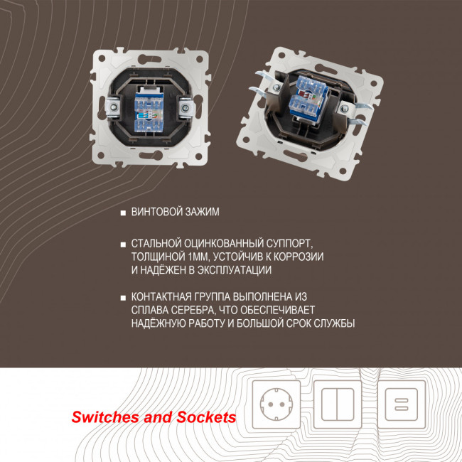 Розетка RJ45 Arte Milano 203.45-1.shampan