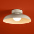 Потолочный светильник Freya Movement FR5602CL-L10W