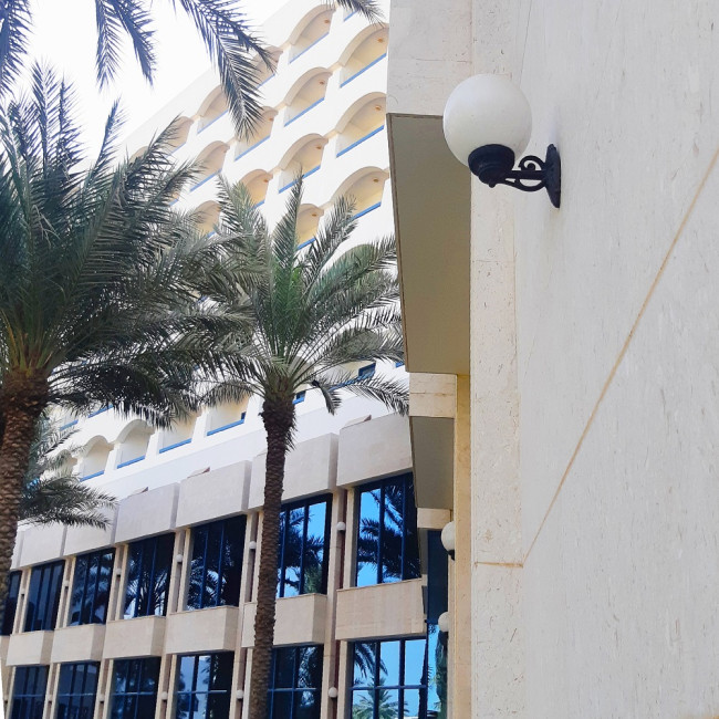 Уличный настенный светильник Fumagalli Globe 250 G25.131.000.AYF1R Уличный настенный светильник Fumagalli Globe 250 G25.131.000.AYF1R