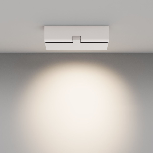 Настенно-потолочный светильник Maytoni Points rot C136CL-12W4K-W