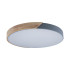 Потолочный светильник Loft IT AXEL 10004/36 Grey Потолочный светильник Loft IT AXEL 10004/36 Grey