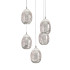 Подвесной светильник DeLight Collection Terrene MD13003023-5A chrome Подвесной светильник DeLight Collection Terrene MD13003023-5A chrome