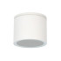 Уличный потолочный светильник Arte Lamp Piautos A1913PF-1WH Уличный потолочный светильник Arte Lamp Piautos A1913PF-1WH