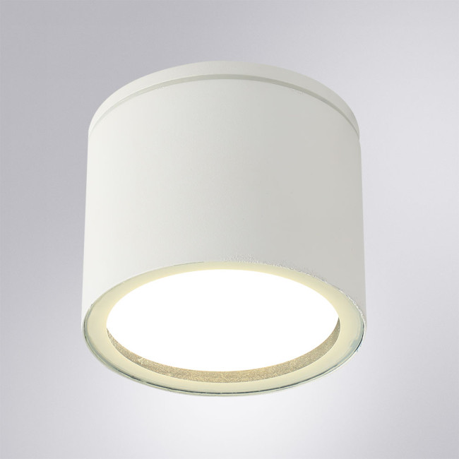 Уличный потолочный светильник Arte Lamp Piautos A1913PF-1WH Уличный потолочный светильник Arte Lamp Piautos A1913PF-1WH