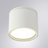 Уличный потолочный светильник Arte Lamp Piautos A1913PF-1WH Уличный потолочный светильник Arte Lamp Piautos A1913PF-1WH