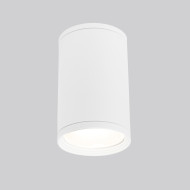 Уличный потолочный светильник Elektrostandard Light 4690389175893 Уличный потолочный светильник Elektrostandard Light 4690389175893