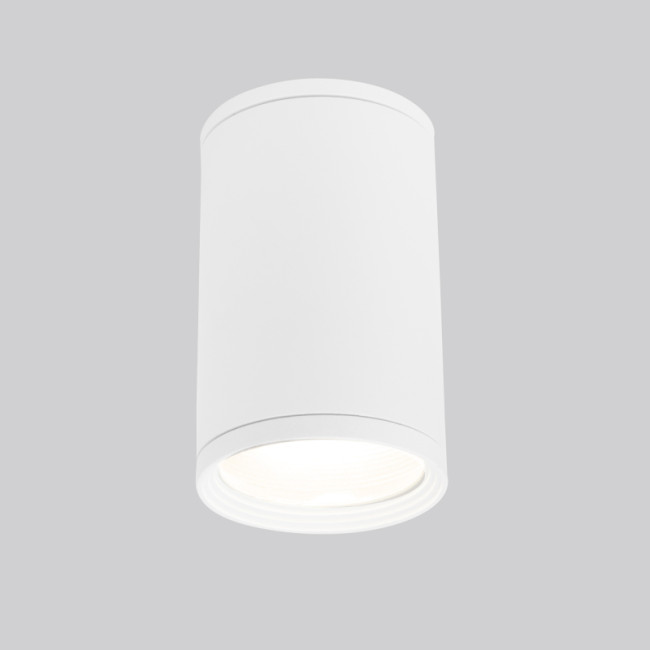 Уличный потолочный светильник Elektrostandard Light 4690389175893 Уличный потолочный светильник Elektrostandard Light 4690389175893