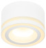 Накладной светильник Эра OL51 WH Б0059804 Накладной светильник Эра OL51 WH Б0059804