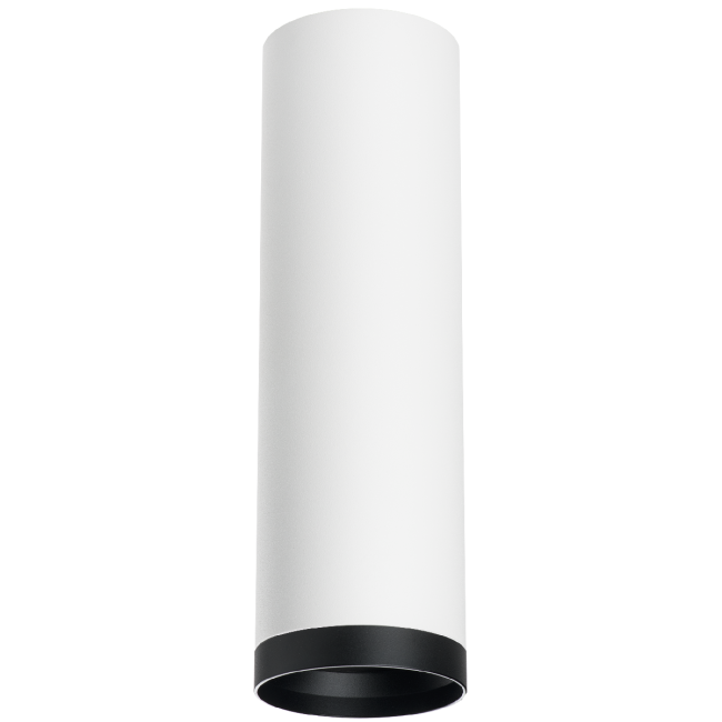 Накладной светильник Lightstar Rullo R64963487 (216496+203487)