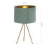 Настольная лампа ST Luce Fuego SL6242.704.01