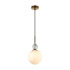 Подвесной светильник Odeon Light Midcent Lolla 4359/1A Подвесной светильник Odeon Light Midcent Lolla 4359/1A