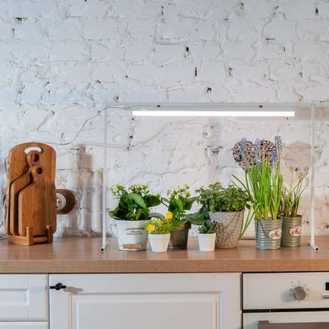 Настенный светодиодный светильник (UL-00002257) Uniel ULI-P10-10W/SPFR IP40 White Настенный светодиодный светильник (UL-00002257) Uniel ULI-P10-10W/SPFR IP40 White