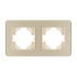 Рамка на 2 поста стеклянная Arlight FRM-OMALI-GS-2-GD 049695 Рамка на 2 поста стеклянная Arlight FRM-OMALI-GS-2-GD 049695