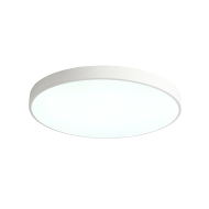 Потолочный светильник Zortes Tortty ZRS.02564.120 Потолочный светильник Zortes Tortty ZRS.02564.120