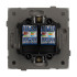Механизм компьютерной розетки двойной Arlight SCT-TENDO-MPC2-PL-BK (RJ-45, CAT6) 054101 Механизм компьютерной розетки двойной Arlight SCT-TENDO-MPC2-PL-BK (RJ-45, CAT6) 054101
