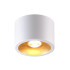 Накладной светильник Odeon Light Glasgow 6668/1CL Накладной светильник Odeon Light Glasgow 6668/1CL