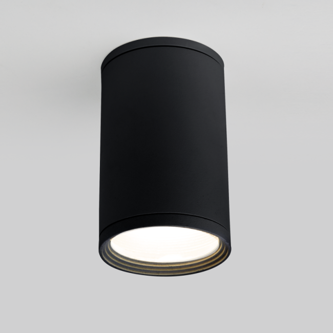 Уличный потолочный светильник Elektrostandard Light 4690389175916 Уличный потолочный светильник Elektrostandard Light 4690389175916