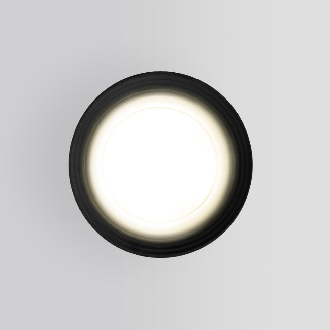 Уличный потолочный светильник Elektrostandard Light 4690389175916 Уличный потолочный светильник Elektrostandard Light 4690389175916