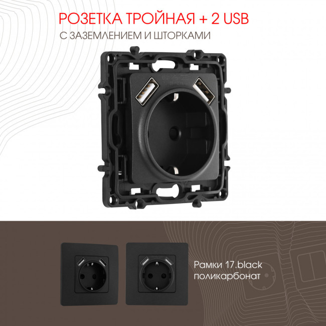 Розетка с заземлением, шторками + 2 USB Arte Milano 217.47-1.black Розетка с заземлением, шторками + 2 USB Arte Milano 217.47-1.black