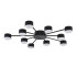 Потолочная люстра Lumion Comfi Torina 8344/10C Потолочная люстра Lumion Comfi Torina 8344/10C