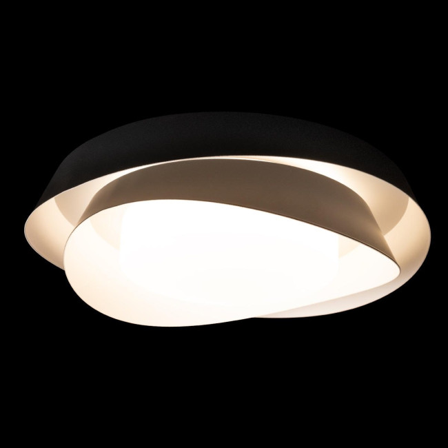 Потолочный светильник Loft IT Petale 10256 Black