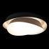 Потолочный светильник Loft IT Petale 10256 Black