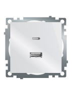 Розетка 2-местная USB + type C Stekker Катрин GLS10-7116-01 50051