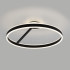 Потолочная люстра Citilux Дуэт CL719761