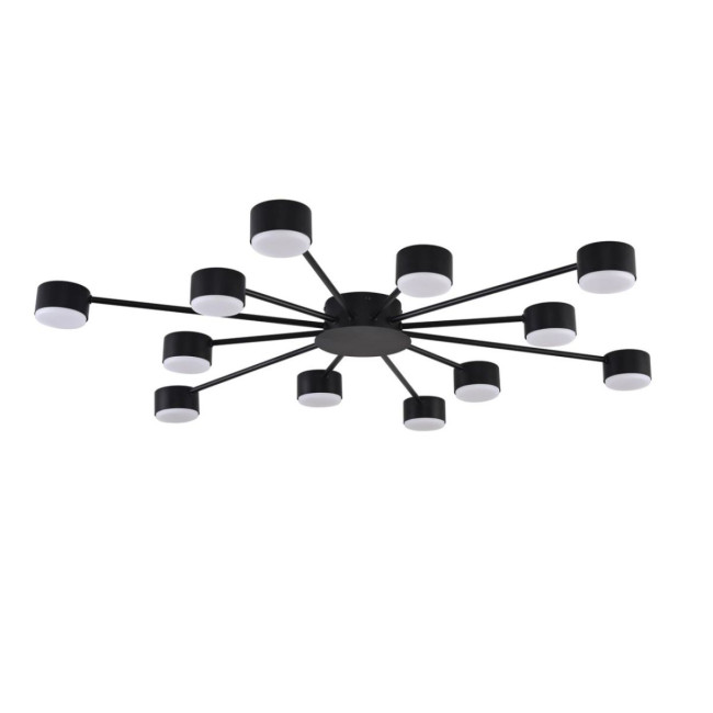 Потолочная люстра Lumion Comfi Torina 8344/12C Потолочная люстра Lumion Comfi Torina 8344/12C
