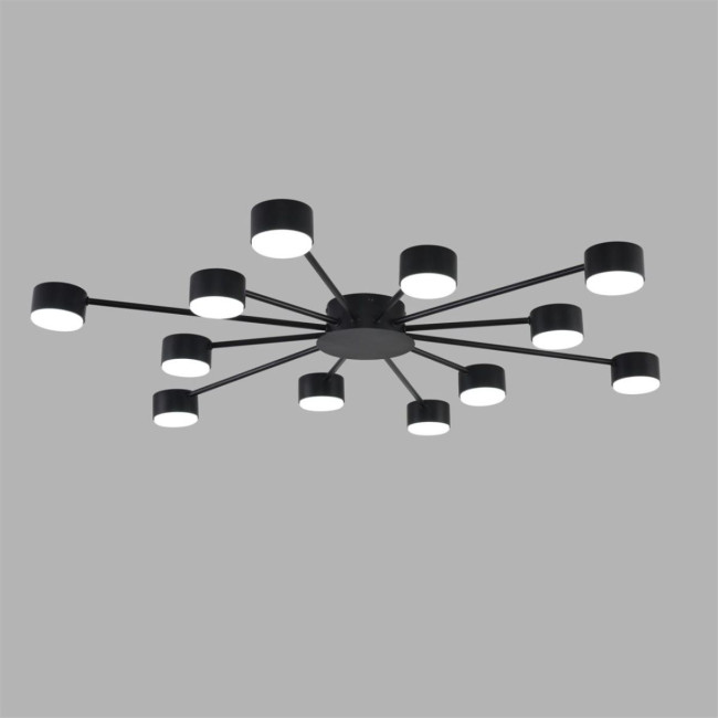 Потолочная люстра Lumion Comfi Torina 8344/12C Потолочная люстра Lumion Comfi Torina 8344/12C