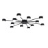 Потолочная люстра Lumion Comfi Torina 8344/12C Потолочная люстра Lumion Comfi Torina 8344/12C