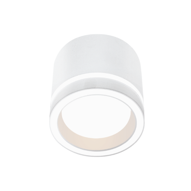 Накладной светильник Wolta Luce WSL-GX53/06W