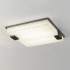 Потолочный светильник Delight Collection 8212C/500 black/white Потолочный светильник Delight Collection 8212C/500 black/white