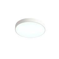 Потолочный светильник Zortes Tortty ZRS.02564.48 Потолочный светильник Zortes Tortty ZRS.02564.48