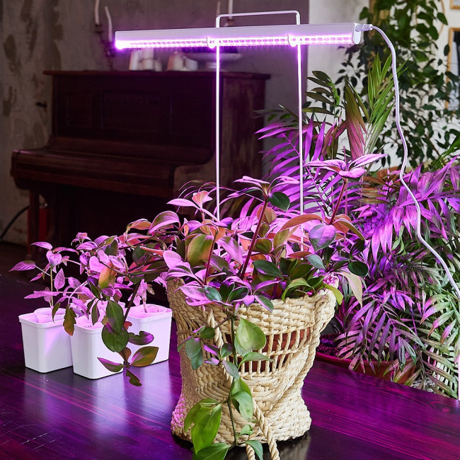 Cветодиодный светильник для растений (UL-00002991) Uniel ULI-P20-10W/SPSB IP40 White Cветодиодный светильник для растений (UL-00002991) Uniel ULI-P20-10W/SPSB IP40 White