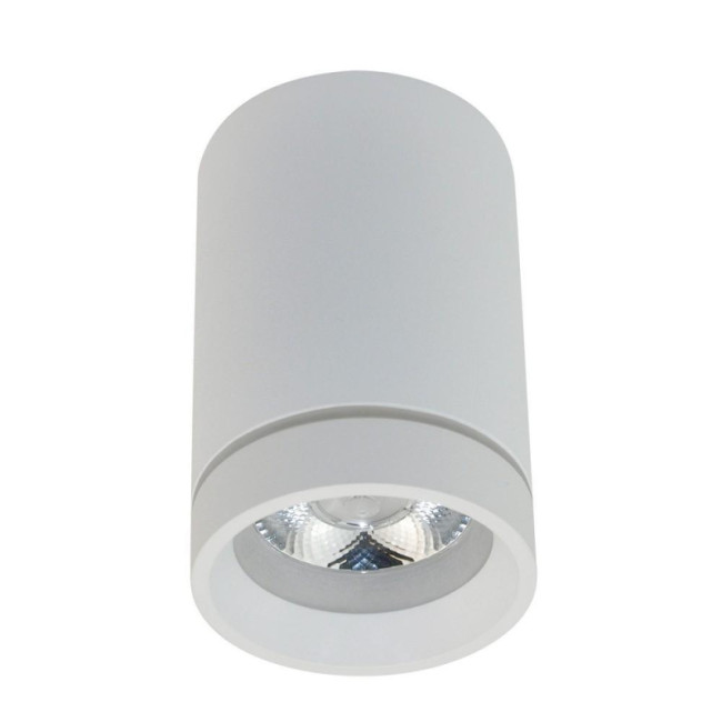 Потолочный светильник Aployt Edda APL.0054.09.10 Потолочный светильник Aployt Edda APL.0054.09.10