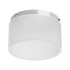 Насадка торцевая с рассеивателем Lightstar Rullo 202481 Насадка торцевая с рассеивателем Lightstar Rullo 202481