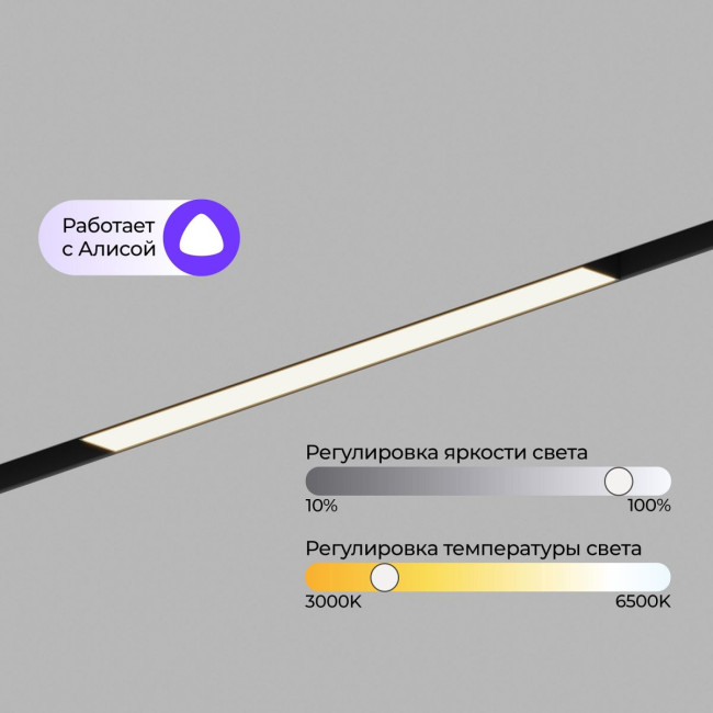 Трековый магнитный светильник Hesby Lighting ElDeko HSBL_0236