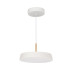 Подвесной светильник Arlight SP-ELEGANT-R300-17W Day4000 (WH, 120 deg, 230V) 033919(1) Подвесной светильник Arlight SP-ELEGANT-R300-17W Day4000 (WH, 120 deg, 230V) 033919(1)