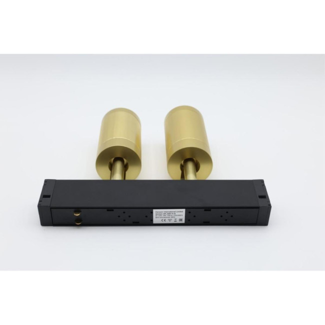 Трековый магнитный светильник Aployt Magnetic track 220 APL.0205.10.18 Трековый магнитный светильник Aployt Magnetic track 220 APL.0205.10.18