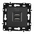 Розетка USB 2.1А+1А Arte Milano 217.46-1.black