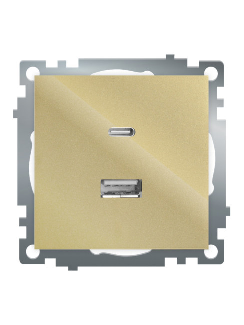 Розетка 2-местная USB + type C Stekker Катрин GLS10-7116-08 50053 Розетка 2-местная USB + type C Stekker Катрин GLS10-7116-08 50053
