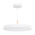 Подвесной светильник Arlight SP-ELEGANT-R500-37W Day4000 (WH, 120 deg, 230V) 033924(1) Подвесной светильник Arlight SP-ELEGANT-R500-37W Day4000 (WH, 120 deg, 230V) 033924(1)