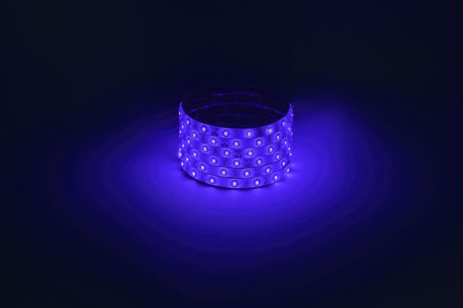 Светодиодная лента Эра 12В 2835 4,8Вт/м синий 5м IP65 LS2835-4,8-60-12-B-IP65-1 year-5m Б0059900 Светодиодная лента Эра 12В 2835 4,8Вт/м синий 5м IP65 LS2835-4,8-60-12-B-IP65-1 year-5m Б0059900