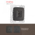 Розетка USB 2.1А+1А Arte Milano 205.46-1.black