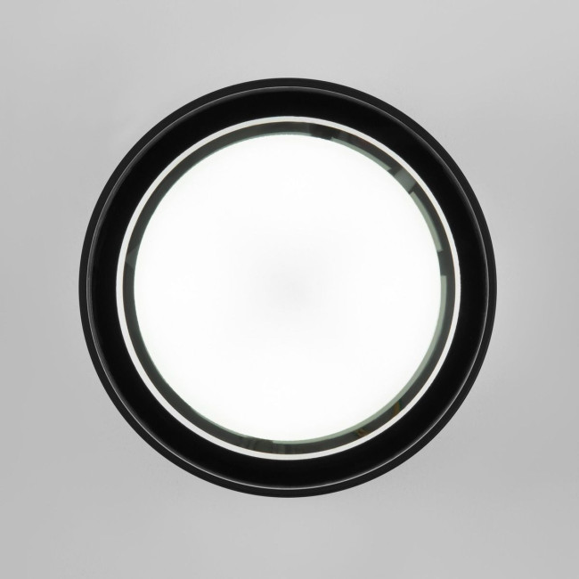 Уличный потолочный светильник Elektrostandard Light 4690389180835 Уличный потолочный светильник Elektrostandard Light 4690389180835