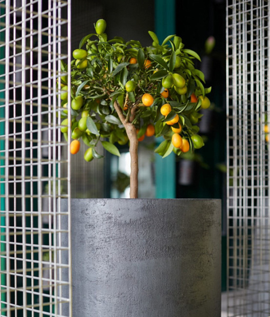 Кашпо TOPPER NERO Кашпо TOPPER NERO